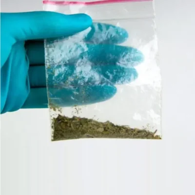 Cannabinoid Online Kaufen